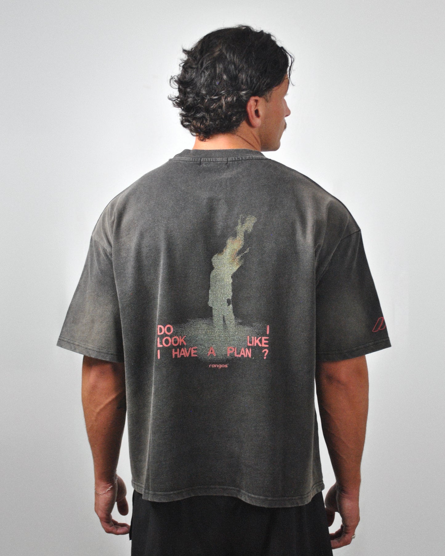 'NO PLAN' WASHED TEE